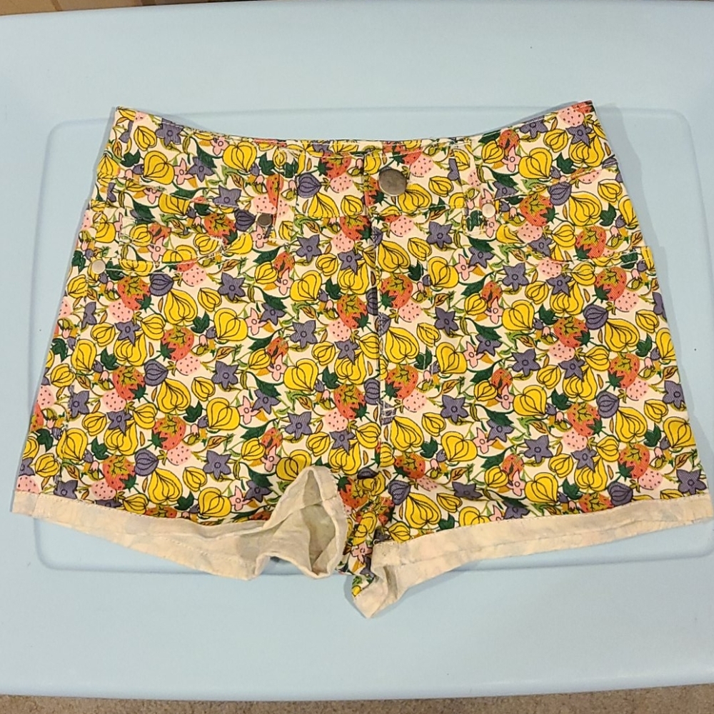 NWT Floral Denim Shorts - 25W